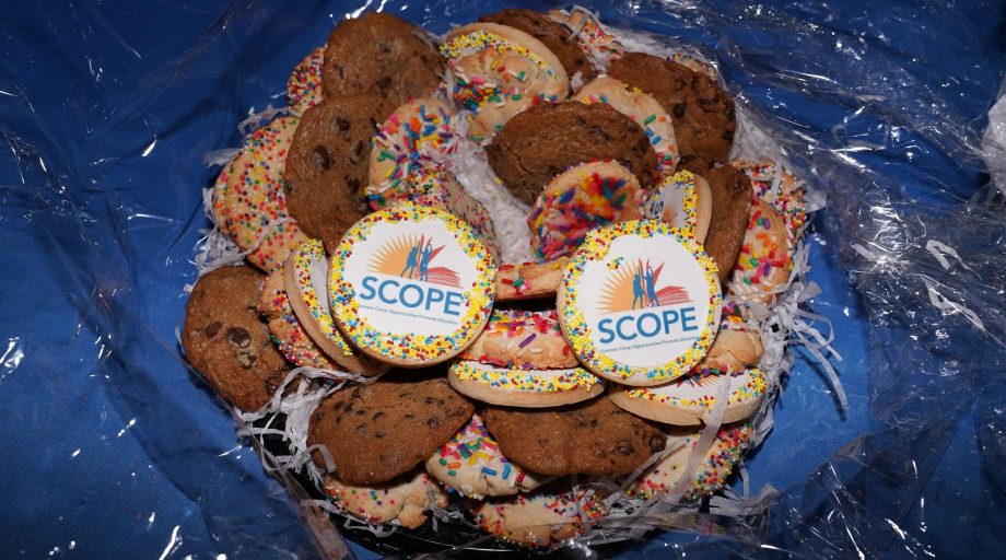 2018 Young Professionals Event cookies