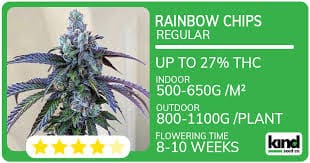 Understanding Family Strain Causes, Effects, and Solutions